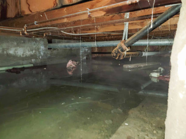 , OH Water damage restoration Company