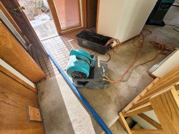 Best Basement water damage restoration  in Deer Park, OH