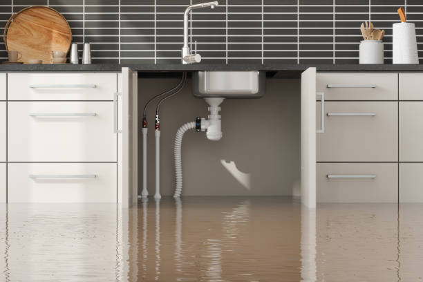 Best Water damage mitigation services  in Deer Park, OH