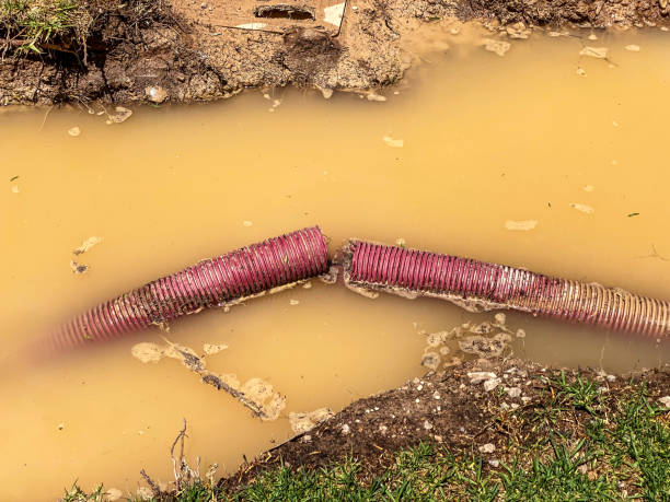 Best Mold removal after water damage  in Deer Park, OH