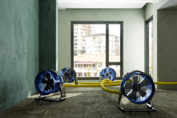Best Residential water damage restoration  in Deer Park, OH
